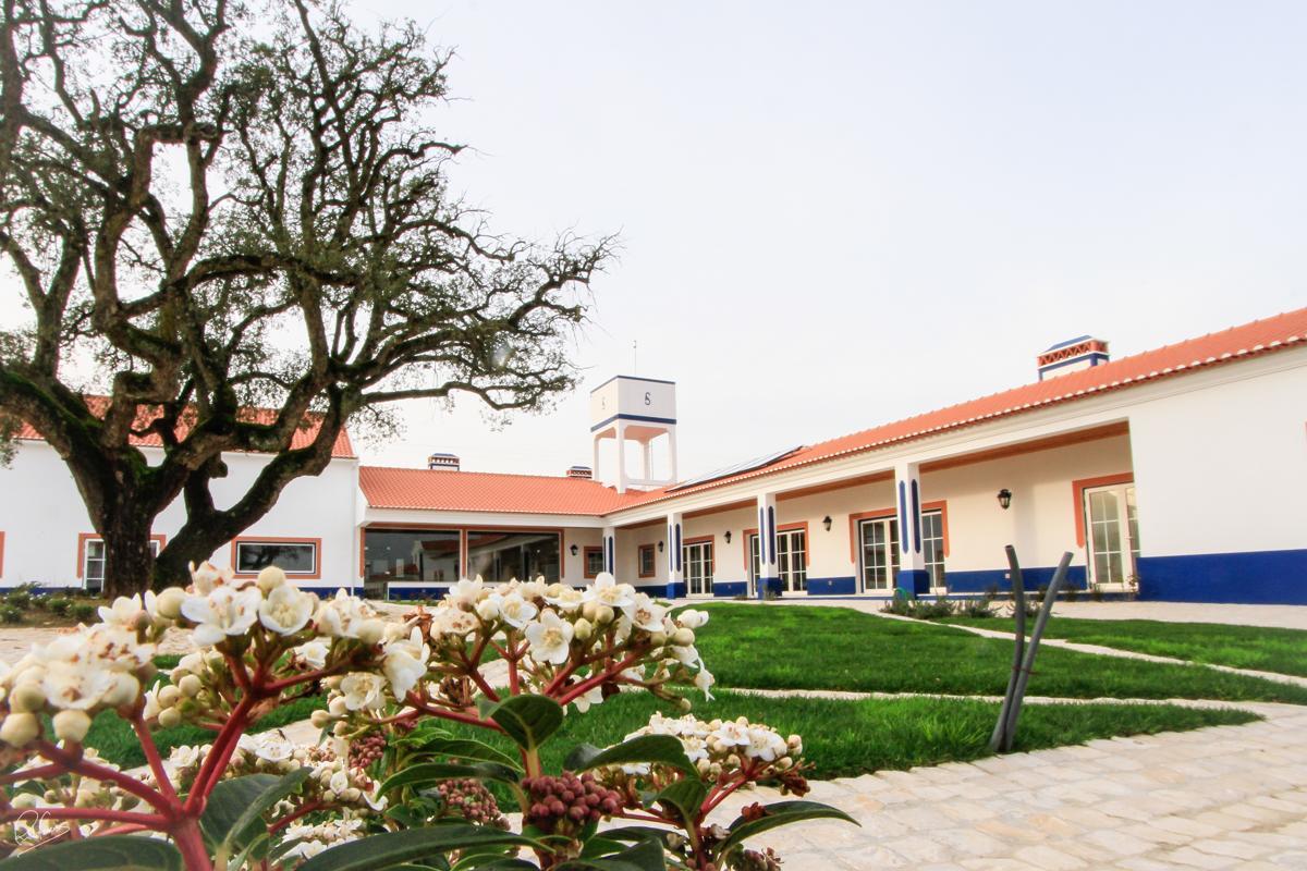 Bed and Breakfast Quinta Da Torre - Casas De Campo Alenquer Exterior foto